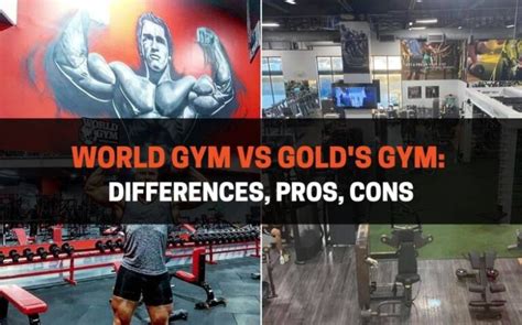 World Gym Vs Gold S Gym Differences Pros Cons