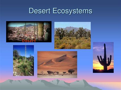 Ppt The Desert Ecosystem Powerpoint Presentation Free Download Id4325848