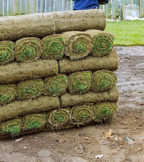 Sod Services In Orange Park Fl 1 Rated Sod Company In Orange Park