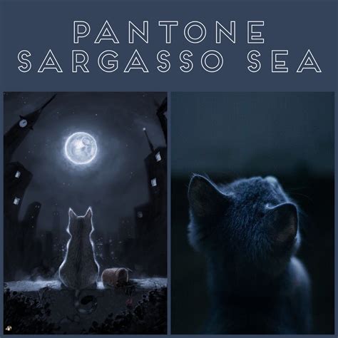 Pantone Sargasso Sea 2018 19 Pantone Pantone Blue Pantone Fall