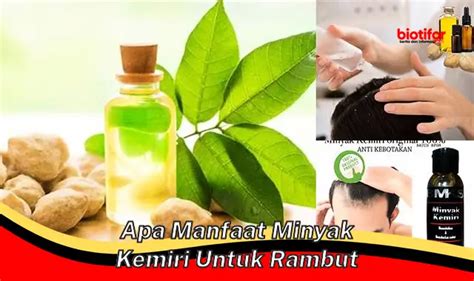 Temukan Rahasia Minyak Kemiri Untuk Rambut Sehat Yang Jarang