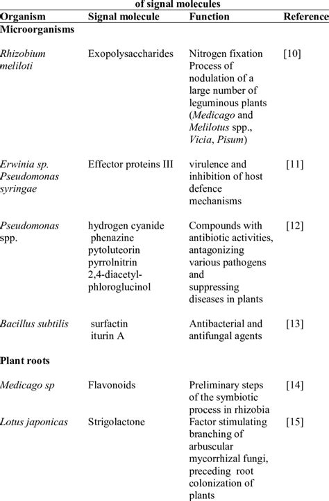 Examples Of Bioactive Compounds With The Function Download Scientific