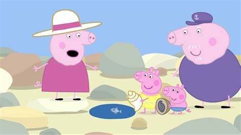 Peppa Pig Nederlands Compilatie Nieuwe Afleveringen | De Tijdcapsule ...