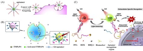 Dna