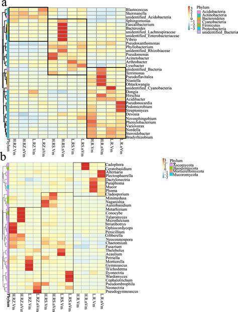 Cluster Heat Map Of Microbial Species Abundance At Genus Level A Download Scientific Diagram