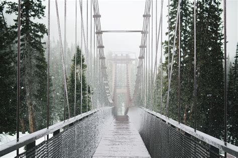 Bridge Forest Snow - Free photo on Pixabay