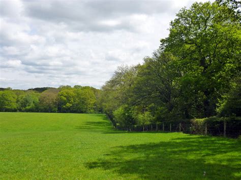 Field By Chillinghurst Copse Robin Webster Cc By Sa Geograph