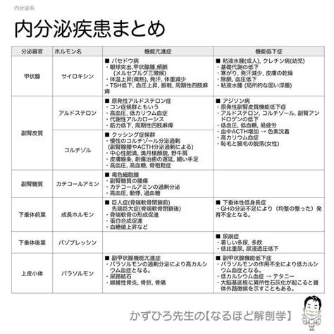 かずひろ先生の【徹底的国試対策】解剖学マガジン 解剖学 看護ノート ホルモン