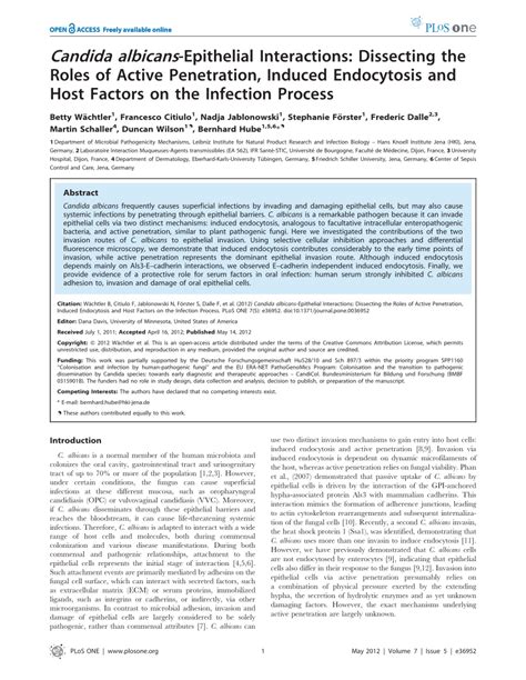 Pdf Candida Albicans Epithelial Interactions Dissecting The Roles Of