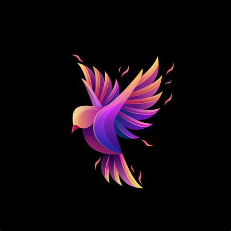 Colorful Bird Logo Design 6894644 Vector Art At Vecteezy