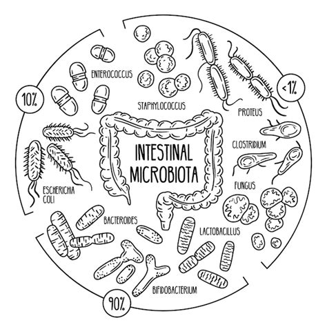 Gut Microbiome Diet Plan: Boost Your Health with Microbiota-Friendly Eating