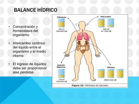 Equilibrio Hidroelectrolítico Y Acido Base