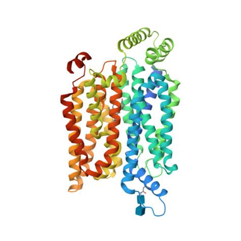 Rcsb Pdb Wsn Cryo Em Structure Of Human Glucose Transporter Glut