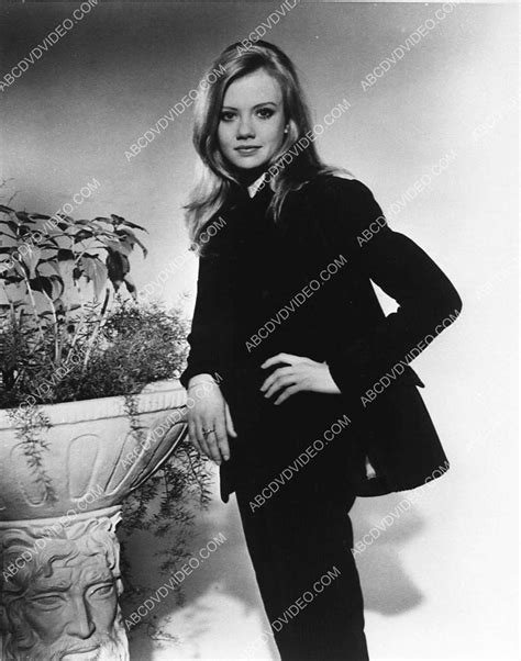 Hayley Mills Portrait 4005 26 Abcdvdvideo