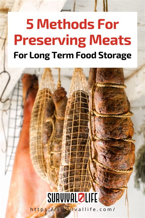 Methods For Preserving Meats For Long Term Food Storage Artofit