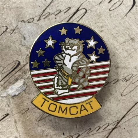 PIN S ÉMAILLÉE ENAMEL insigne Militaire USA Aviation Avion F14 TOMCAT