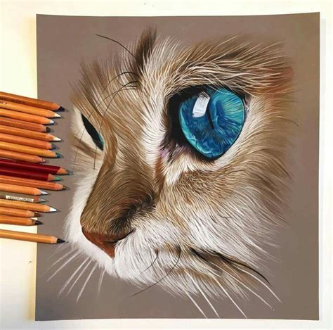 10 Dibujo Gato Realista | Images and Photos finder