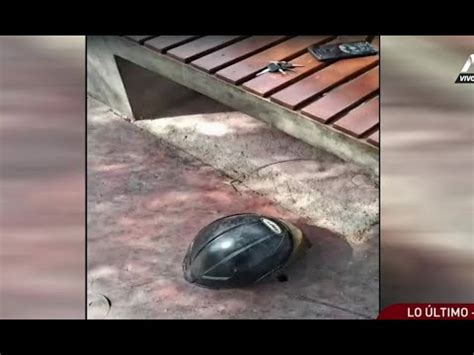 Hombre Muere Acribillado Por Sicarios En Un Parque En Smp Youtube