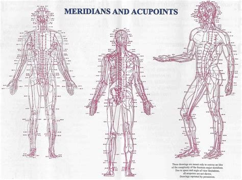 Meridians And Acupuncture Points Acupuncture Acupuncture Points