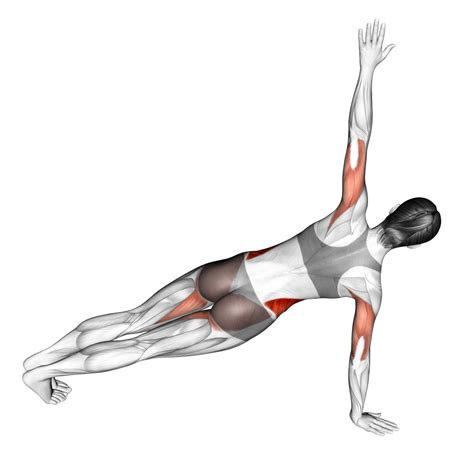 Push Ups With Rotation Benefits Muscles Worked And More Inspire Us