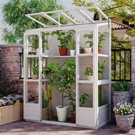 78 Inch Wooden Greenhouse Cold Frame With 4 Independent Skylights And 2 Folding Middle Shelves