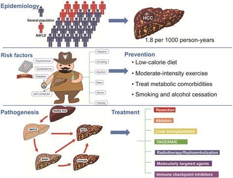 Hepatocellular Carcinoma In Non Alcoholic Fatty Liver Disease Current