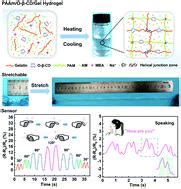 Highly Stretchable Transparent And Conductive Double Network Ionic