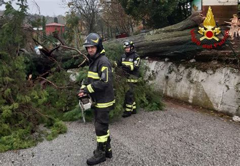 Maltempo Veneto Stato Di Emergenza Regionale Zaia Invia Decreto Al