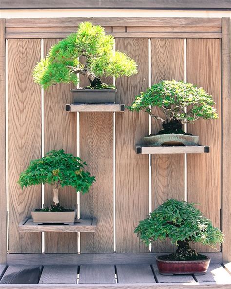 Bonsai Garden Design Bonsai Garden Japanese Garden Design Bonsai