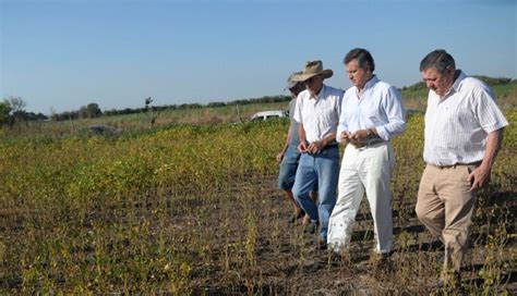 El Gobierno Nacional Declaró La Emergencia Agropecuaria En Entre Ríos