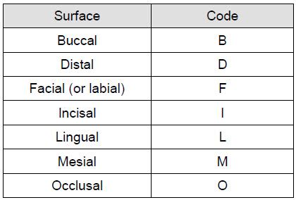 Tooth Chart With Surfaces