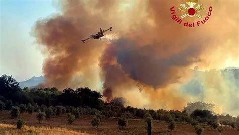 Incendio a Cinigiano in Maremma a fuoco ettari di bosco il paese è