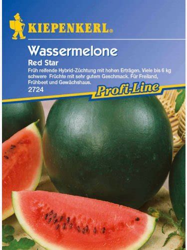 Wassermelone Pflanzen Tipps Zum Anbau Im Garten Plantura