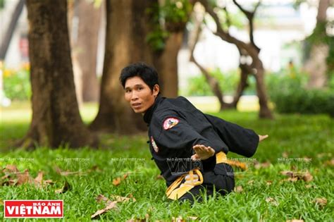 Art martiaux vietnamiens des techniques inspirées du coq Vovinam