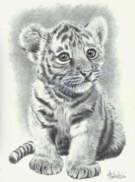 Pinterest Pencil Drawings Of Animals Animal Drawings Animal Sketches