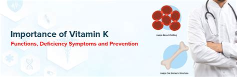 Importance Of Vitamin K Functions Deficiency Symptoms And Prevention Ganesh Diagnostic