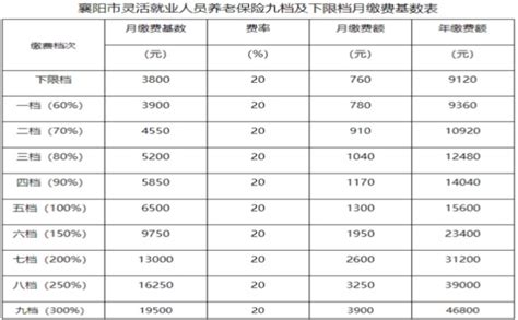 官方最新公布：2023 2024年度襄阳社保缴费比例及缴费基数沃保保险网