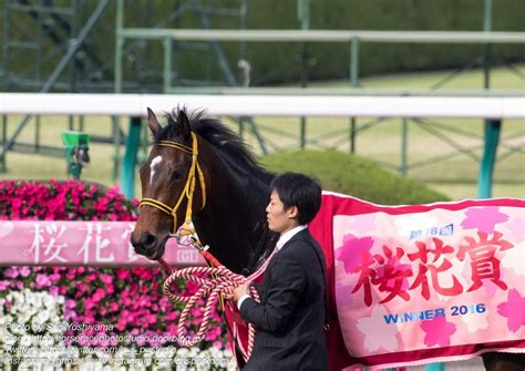 【桜花賞2017予想】アドマイヤミヤビ＆デムーロに期待