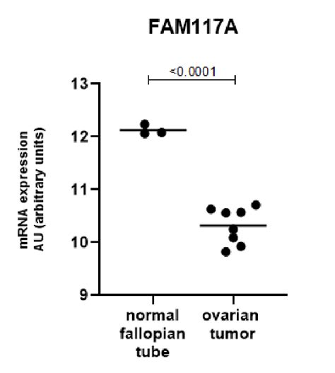 FAM117A Is Expressed At Significantly Lower Levels In HGSC Tumors When