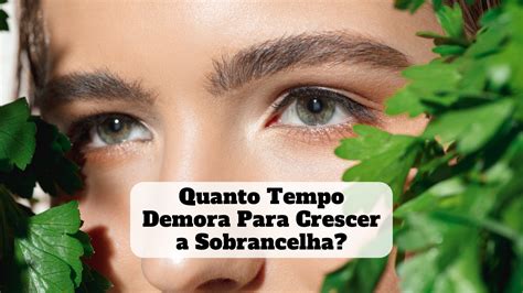 Quanto Tempo Demora Para Crescer A Sobrancelha Beleza Lucrativa