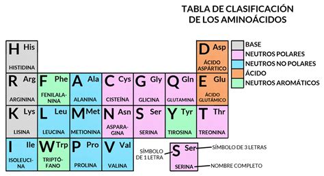 Proteinas BioGeo LOMLOE