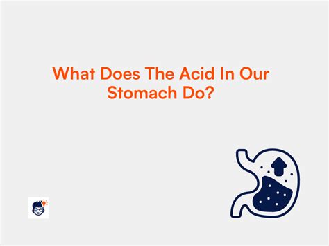 What does the acid in our stomach do?