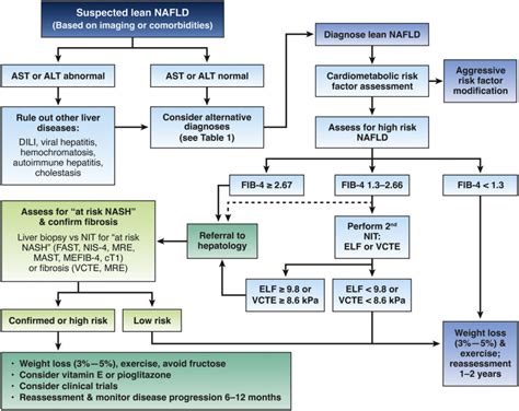 Aga Clinical Practice Update Diagnosis And Management Of Nonalcoholic