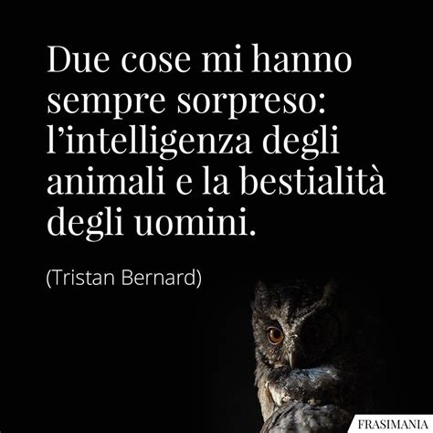 Frasi Sulla Stupidit Umana Con Immagini