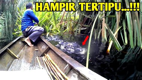 Sungai Yang Sejuk Dan Indah Ini Ternyata Di Huni Ikan Predator Yang