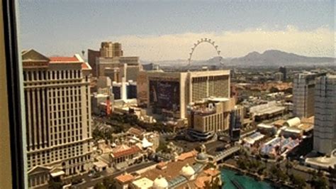 Cheating S BBW SUZYQ AND HER M WONDERS Clips Sale