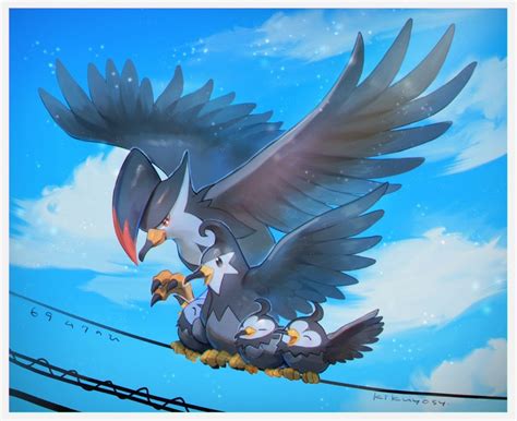 Starly Staraptor And Staravia Pokemon Drawn By Kikuyoshi Tracco