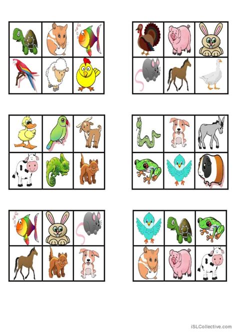 Pets Bingo Fran Ais Fle Fiches Pedagogiques Pdf Doc