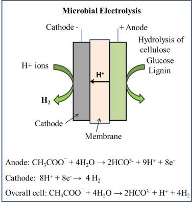 Water Electrolysis Equation - Modern Home Designs