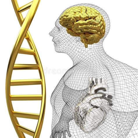 D Medische Achtergrond Met Dna Bundels En Het Model Van Het Draad